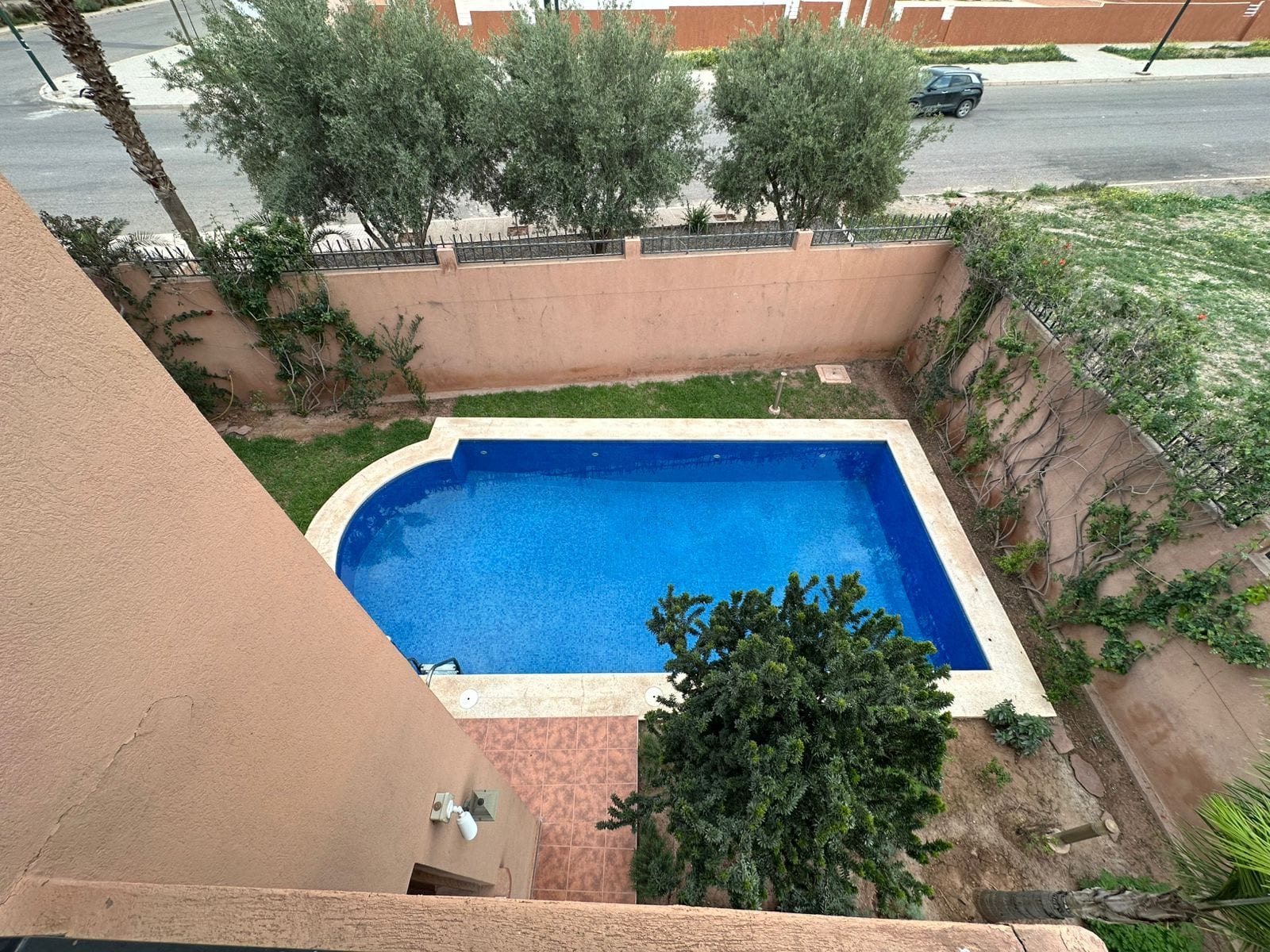 Une piscine rectangulaire dont les bords sont recouverts de carreaux, entourée d’un petit muret et de végétation.