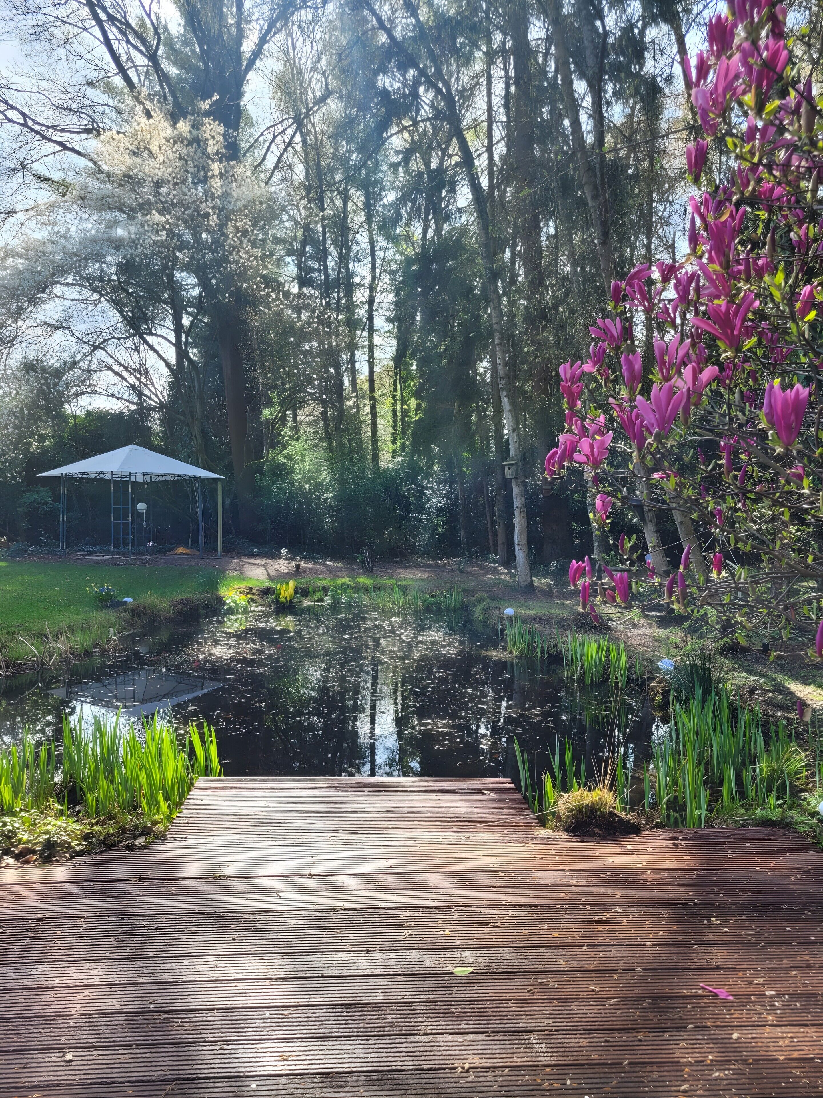Une terrasse en bois mène à un étang, avec un kiosque en arrière-plan.
