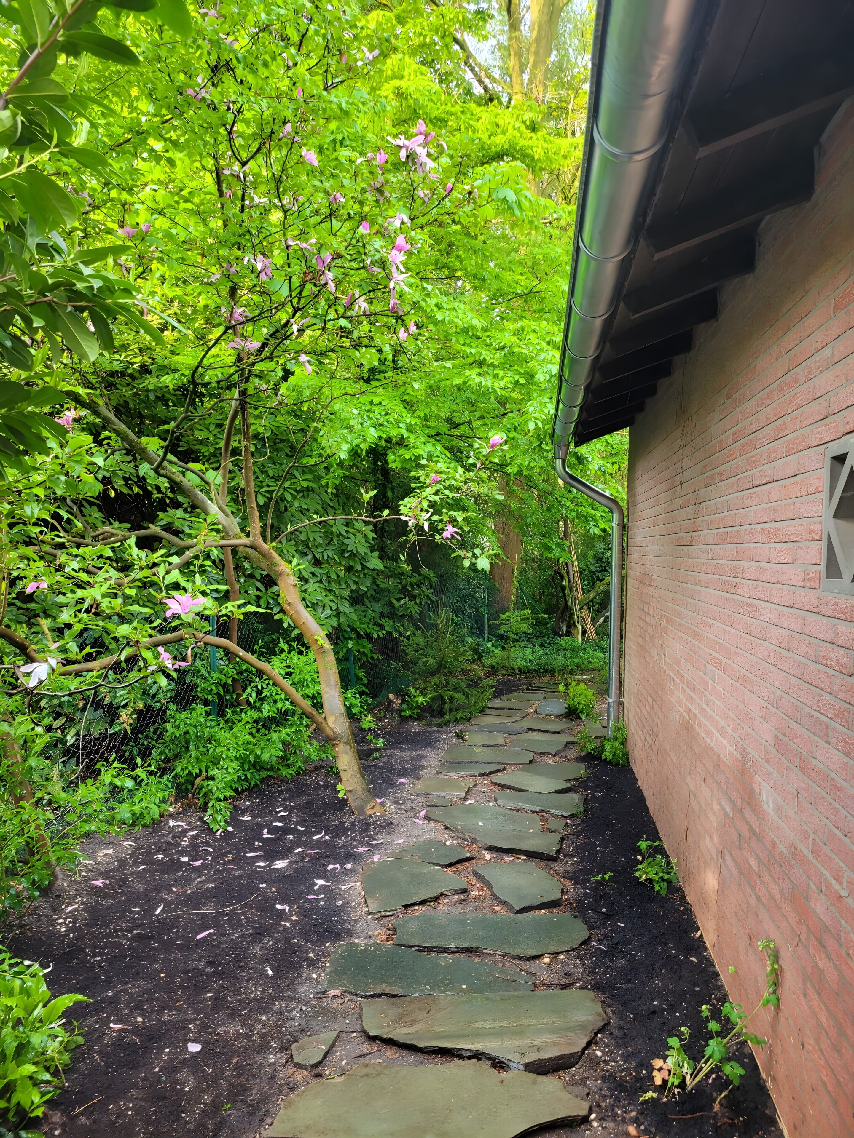 A stone pathway leading to a brick building surrounded by lush greenery and flowering trees.