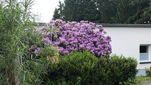 A garden with red poppies, purple flowers, and green foliage in front of a building. - Suite Maximilian at Alten Berghotel: Mountain Views, Private Terrace & Wi-Fi (Eslohe)