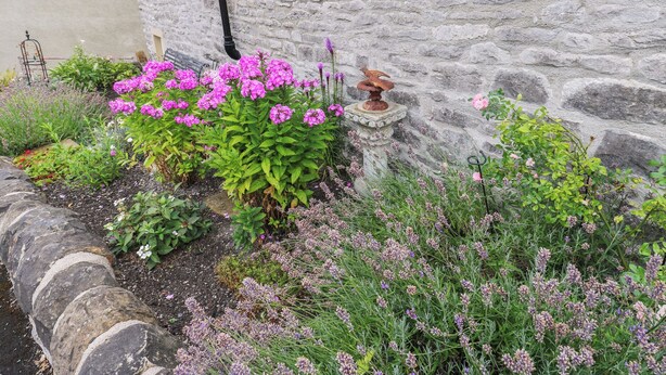 A stone wall with a garden bed containing pink flowers and various plants. - Laneside Barn (Hope Valley)