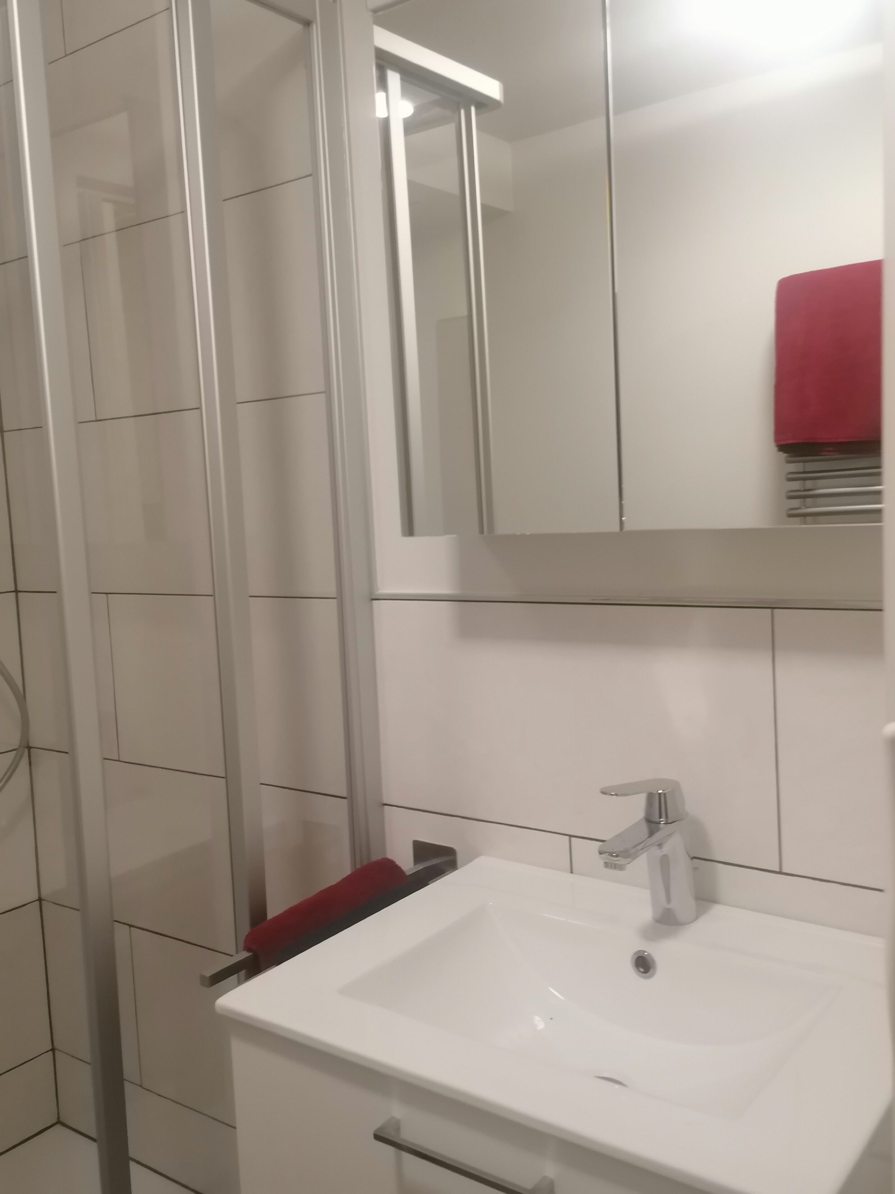 Dusche, Haartrockner, Handtücher, Seife