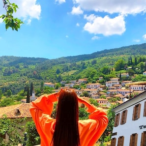 Vista desde la habitación