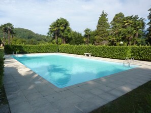 Ein rechteckiger Swimmingpool mit einer gefliesten Kante, umgeben von einer niedrigen Hecke und Bäumen.