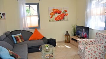 TV, fireplace, DVD player