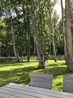Um parque com bancos e árvores.