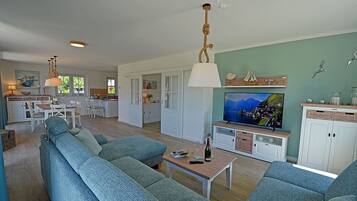 TV, fireplace, books