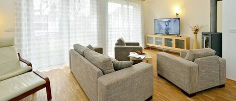 Télévision, cheminée, lecteur de DVD, livres