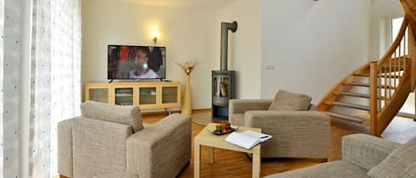 TV, fireplace, DVD player, books