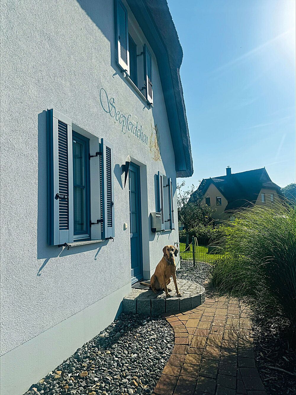 A building with a dog sitting outside, a paved pathway, and a clear sky.