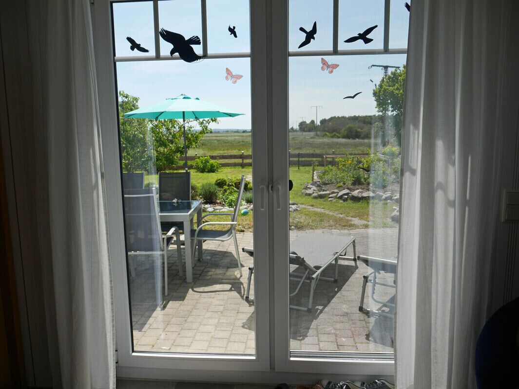 Vista por una ventana con siluetas de pájaros y mariposas, un patio con mobiliario exterior y un paraguas verde.