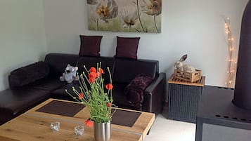 Fernseher, Kamin, DVD-Player