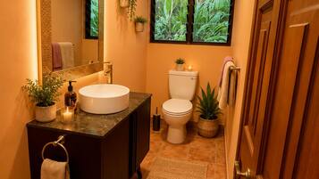 Hair dryer, towels, soap, toilet paper