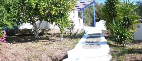 A pathway leading to a white building with a blue roof, surrounded by greenery and a small tree.