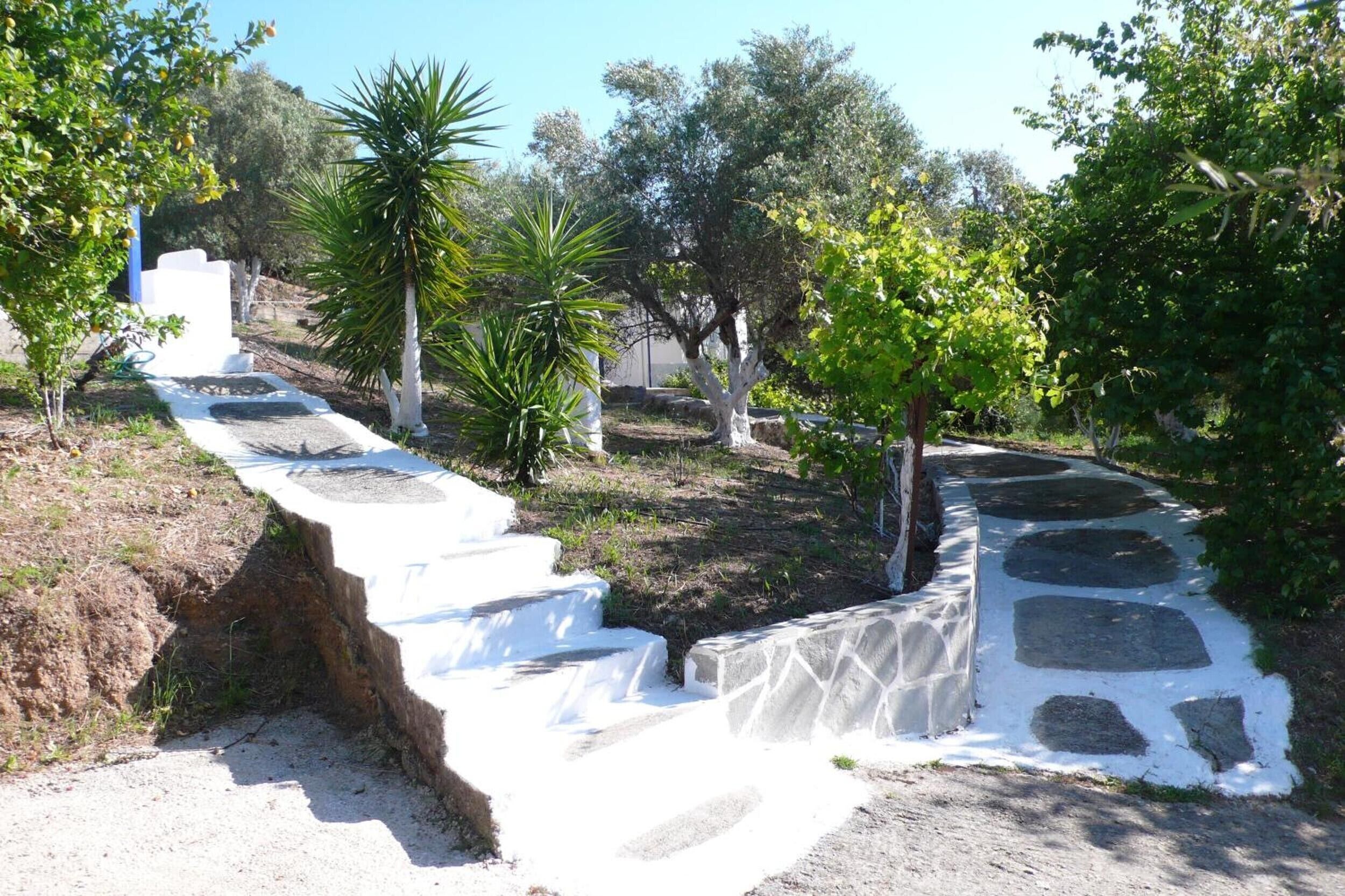 Ein gepflasterter Weg führt durch einen Garten mit verschiedenen Bäumen und einem weißen Gebäude.
