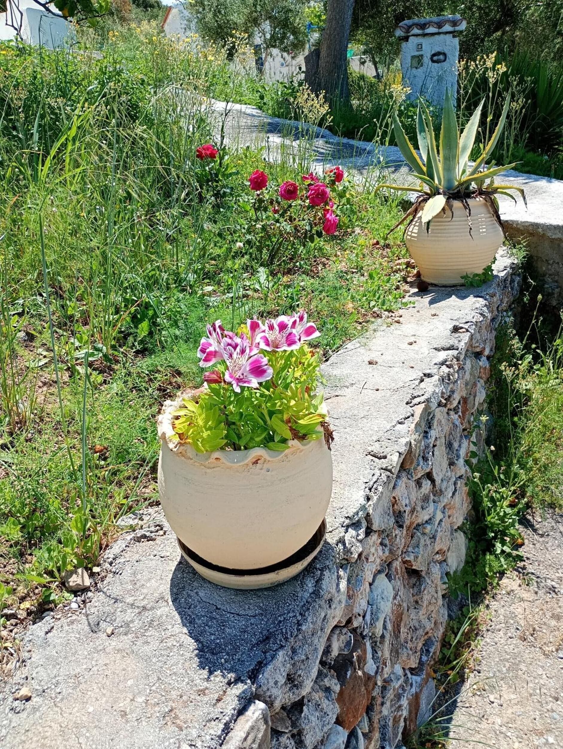 Terrain de l’hébergement 