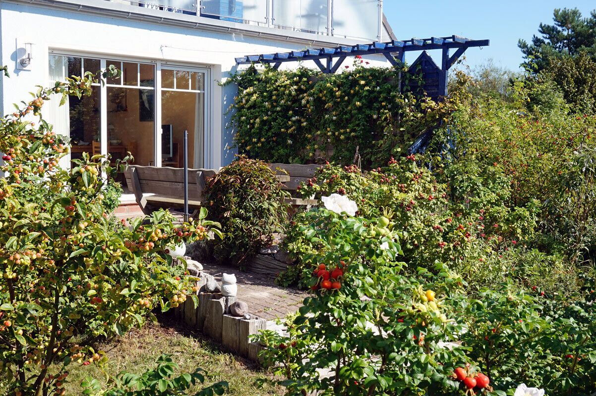 A garden with a wooden bench, a pergola with climbing plants, and a white building with large windows.