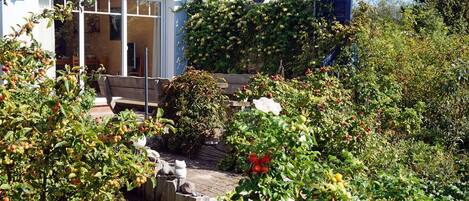 A garden with a wooden bench, a pergola with climbing plants, and a white building with large windows.
