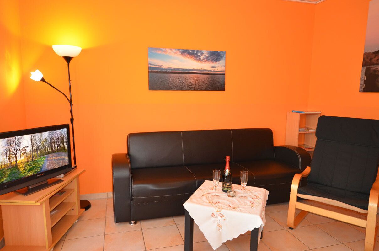 TV, DVD player, books