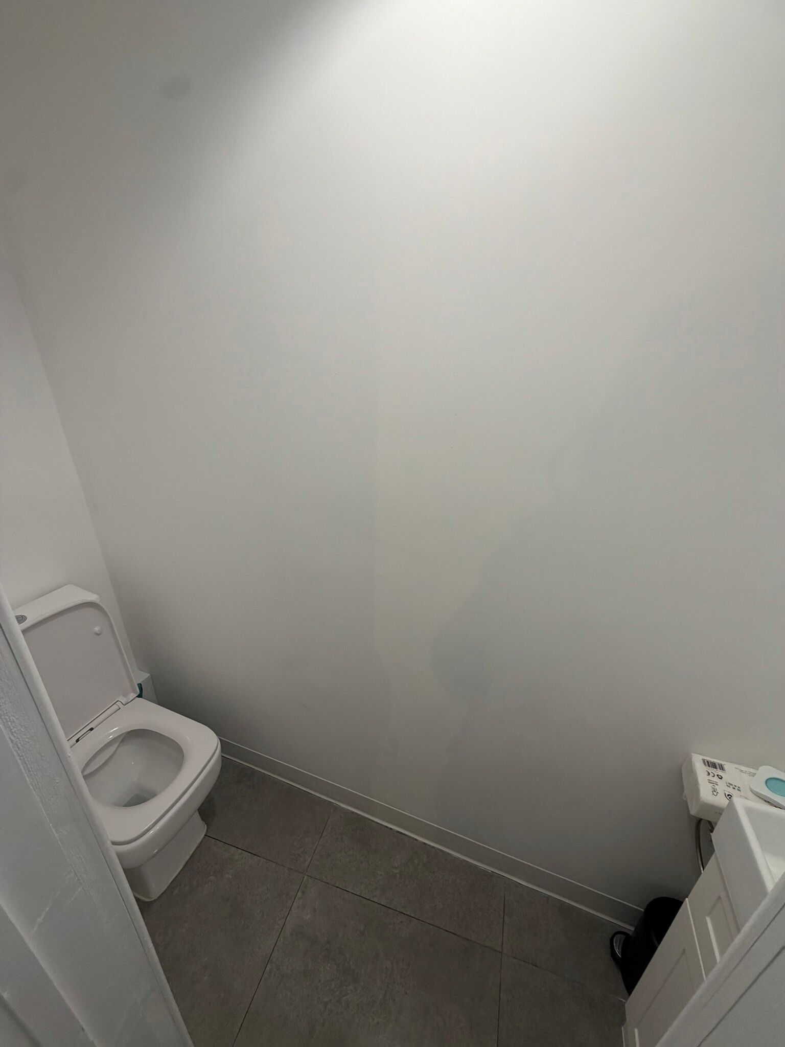 Een kleine, eenvoudige badkamer met een toilet en een wandmodelletje.