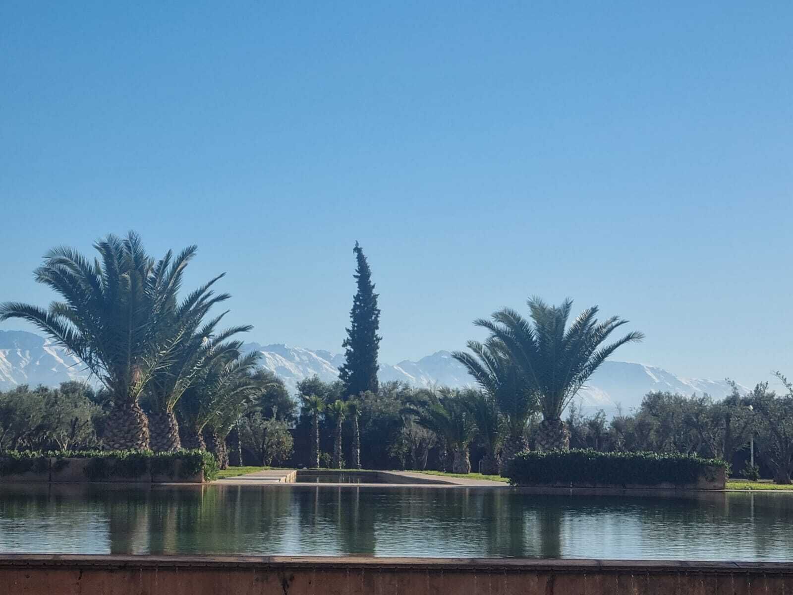A tranquil lakeside view with palm trees and distant snow-capped mountains.