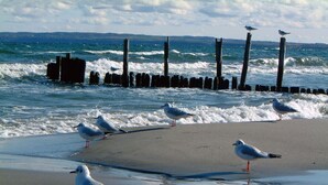 A beach with seagulls and waves. - Only 900 meters from the beach, 1st floor with balcony, Internet/Wi-Fi, washing machine (Breege)
