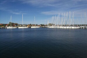 Ein Yachthafen mit mehreren dort liegenden Segelbooten.