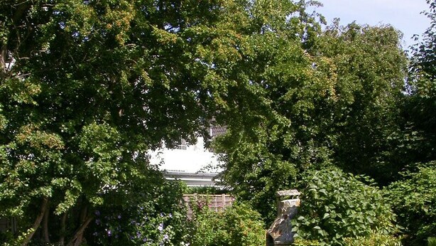 En sti i en have omgivet af frodig vegetation og sten.