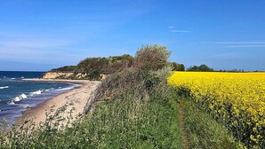 Paisaje costero con una playa, un campo de flores amarillas y un acantilado con vegetación.