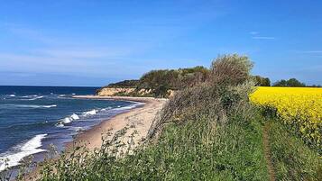 Tæt på stranden
