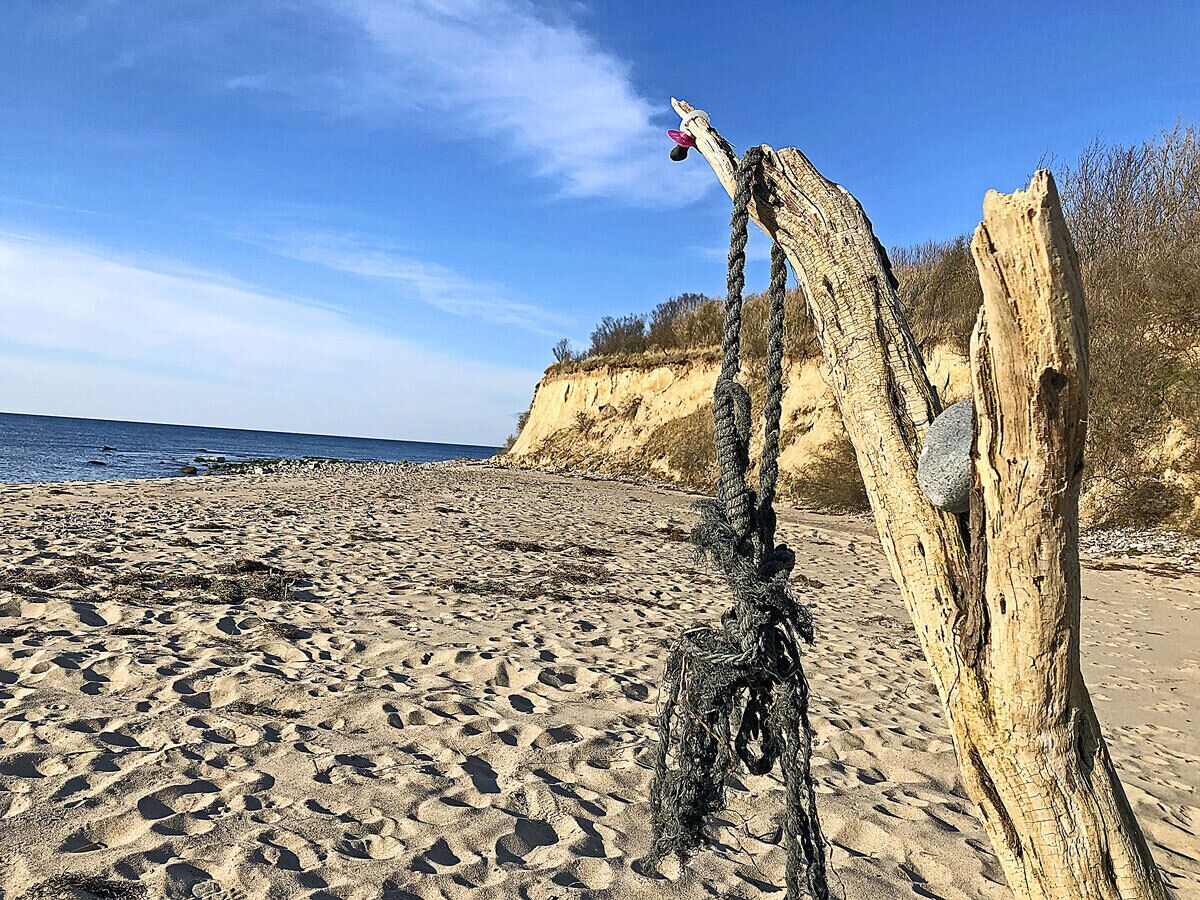 A sandy beach with a large, weathered tree trunk and a rope tied around it.