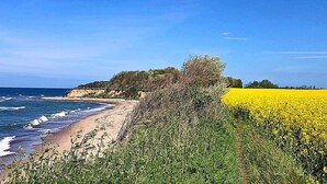 Eine Küstenlandschaft mit Strand, einem Feld voller gelber Blumen und dem Meer.