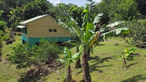 Property grounds - TI VÕ, a traditional Martinican house (Saint-Pierre)