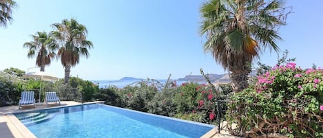 A swimming pool with lounge chairs, surrounded by palm trees and flowering plants, with a view of the sea and hills.