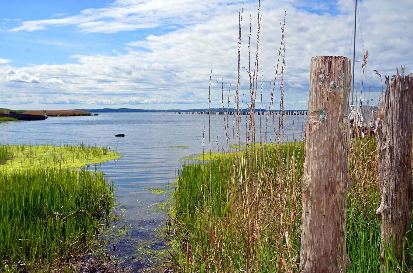 Paesaggio naturale con specchio d'acqua, zone erbose e un palo di legno.