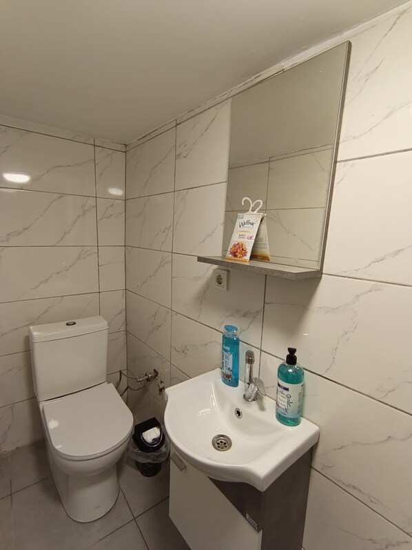 A bathroom with a toilet, sink, and mirror.
