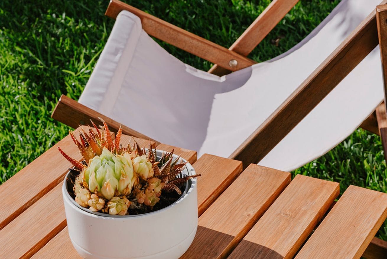 A wooden table with a white bowl containing a plant.