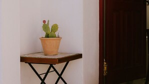 Un cactus en una maceta de terracota sobre una mesa de madera frente a una pared blanca.