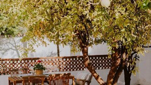 Un'area pranzo all'aperto con mobili in legno e un albero.