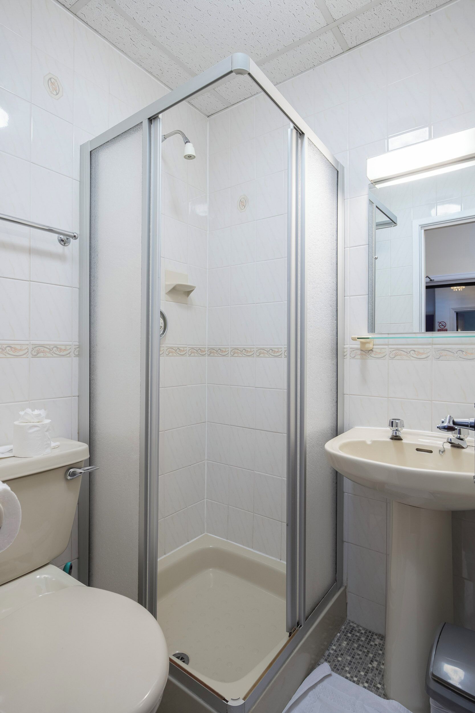 Regadera, jabón, shampoo, papel de baño 