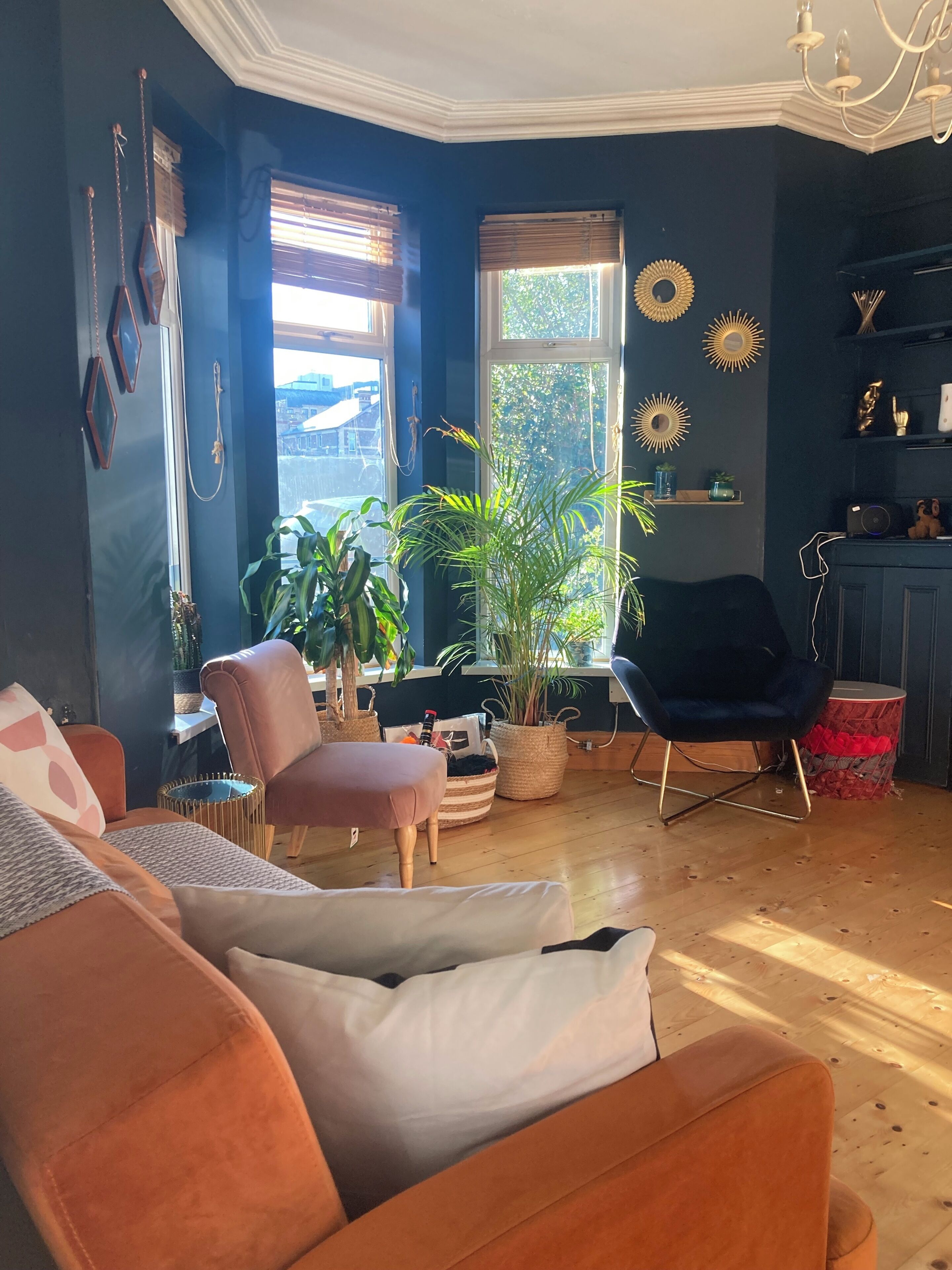 Un salon avec un mur bleu, un lustre, une grande fenêtre et une plante en pot.
