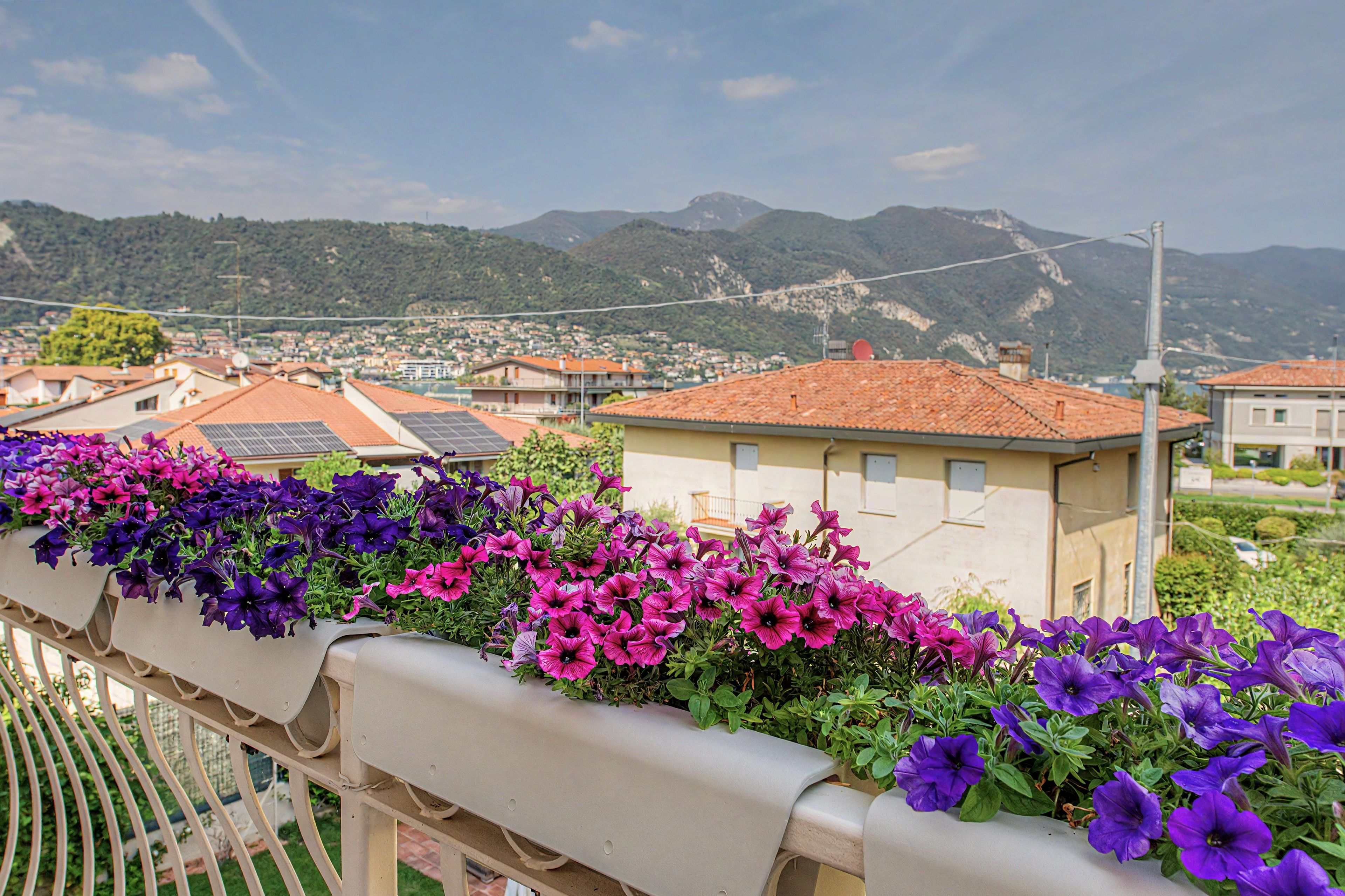 A balcony with a row of purple and pink flowers, overlooking a town with houses and mountains in the background.