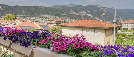 A balcony with a row of purple and pink flowers, overlooking a town with houses and mountains in the background.