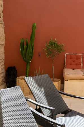 Un espace patio comprenant deux chaises longues, une petite table, un cactus, une plante en pot et un canapé avec des coussins.