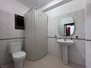 Ein Badezimmer mit Toilette, Duschvorhang, Waschbecken und Spiegel.