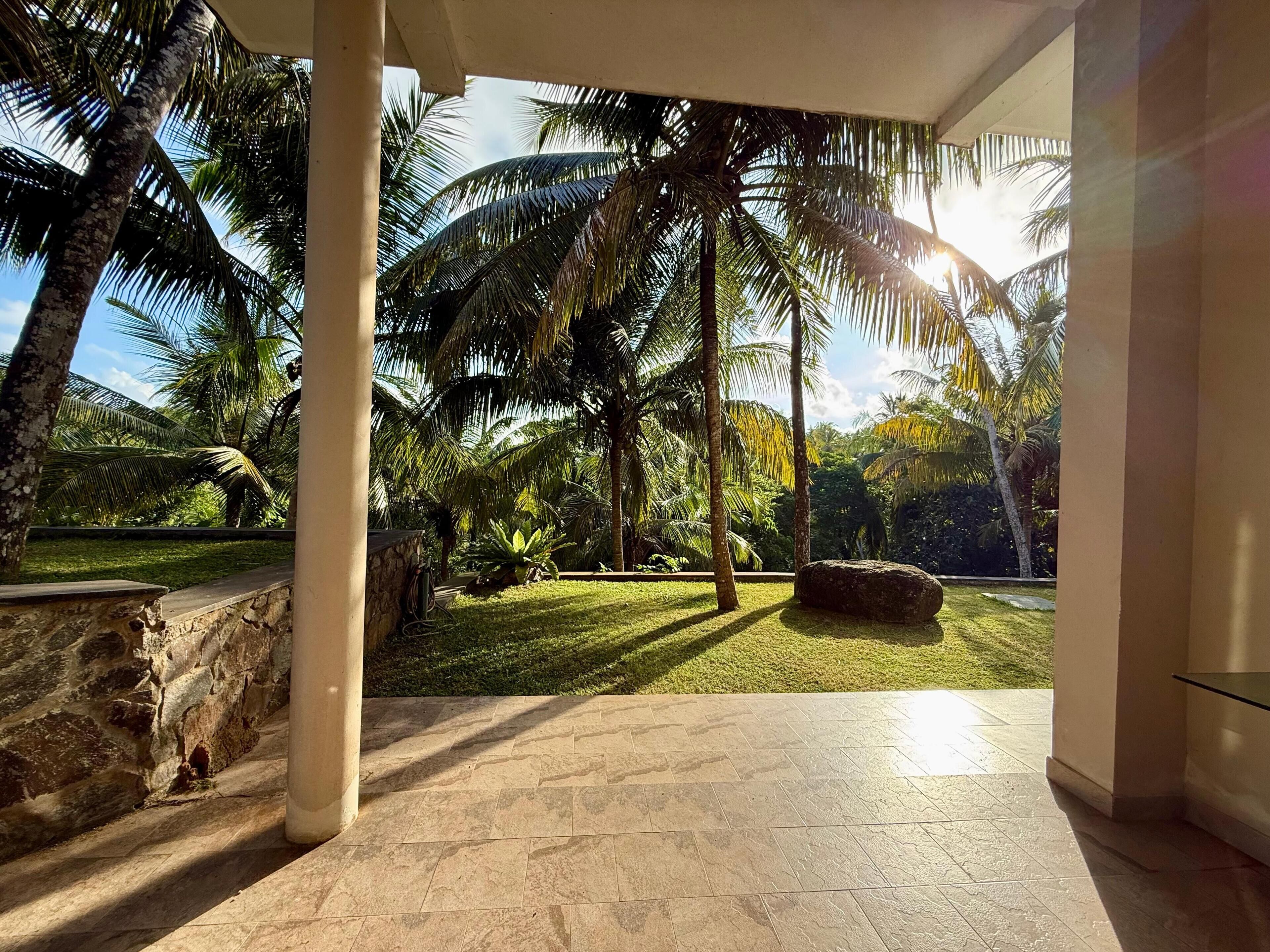 Un espacio al aire libre techado con vistas a un jardín tropical, que incluye palmeras y un muro de piedra.