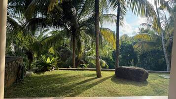 Un jardín tropical con palmeras, un muro de piedra y una zona de patio con baldosas.