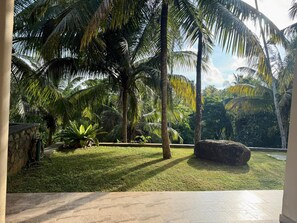 A tropical garden with palm trees, a stone wall, and a tiled patio area.