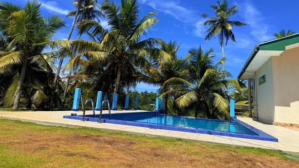 A swimming pool with a clear blue sky and palm trees in the background. - The Hilltop Boosa (Boossa)