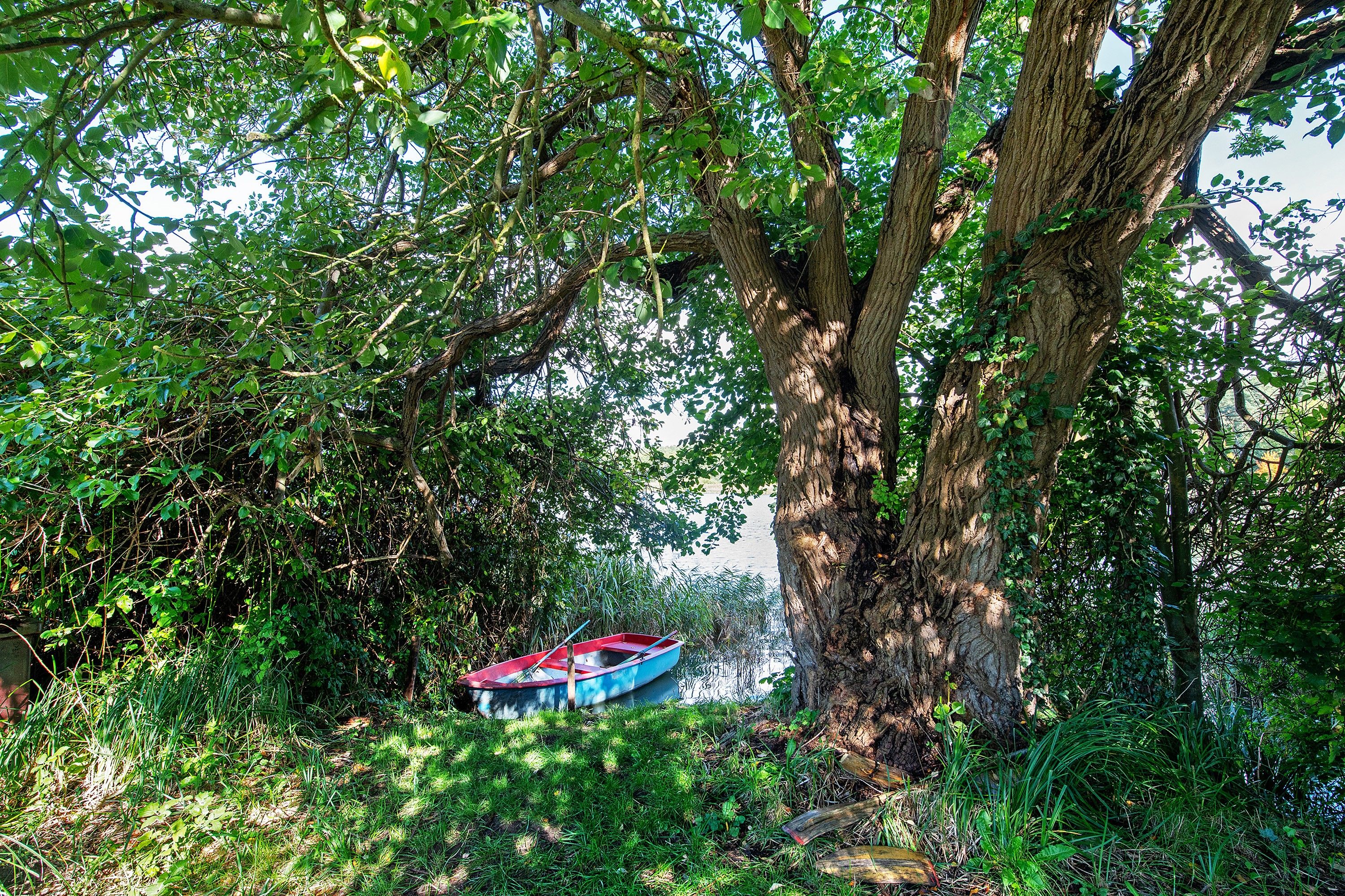 Ein Boot, das an einem Baum an einem Wasserlauf befestigt ist, umgeben von dichtem Grün.